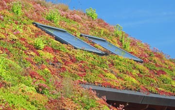 Upper Arley living roof systems